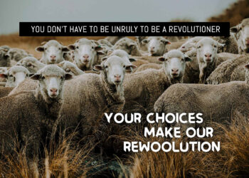 Make Our Rewoolution