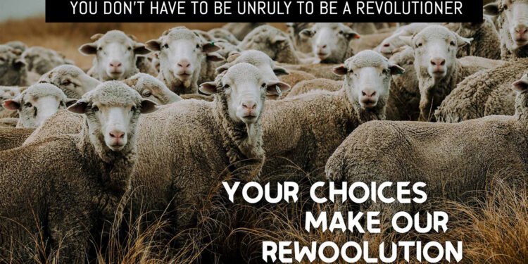 Make Our Rewoolution