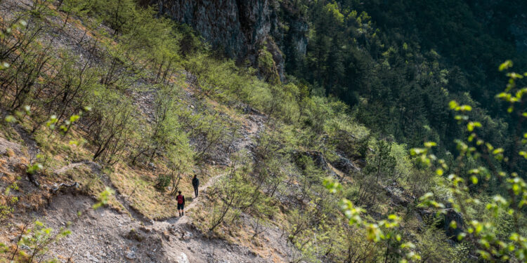 Trekking in Vallagarina con Rewoolution